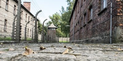 Blick auf die Zaunanlage der Gedenkstätte Auschwitz. Foto: Pixabay